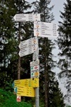 Wandelroutes omgeving Titisee
