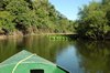 Met een bootje door de Pantanal