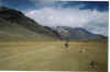 17 Shandur Pass (Noord-Pakistan).jpg (44584 bytes)