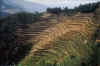 34 Terrasbouw (Nepal).jpg (62987 bytes)